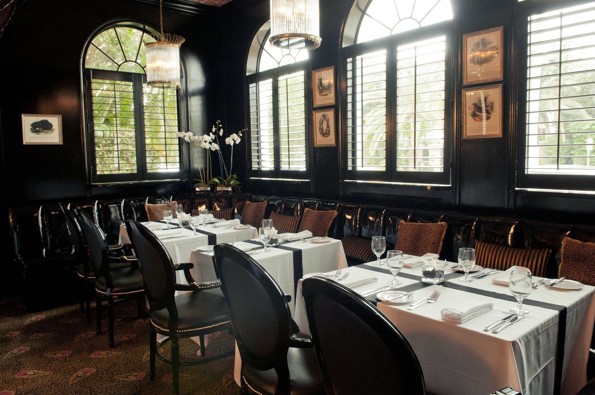 The Chesterfield Hotel Palm Beach Restaurace fotografie